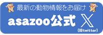 最新の動物情報をお届け！asazoo公式　X（旧twitter）