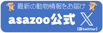 最新の動物情報をお届け！asazoo公式　X（旧twitter）