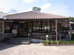 restaurant_donguri01.jpg