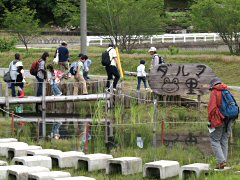 観察会