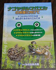 リーフレット