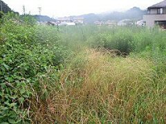 休耕田