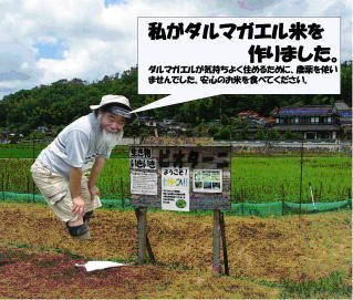 米作りじい