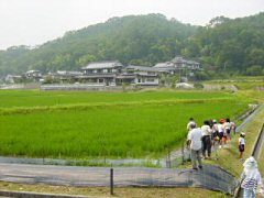 田んぼで
