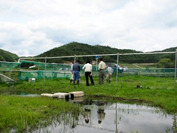 安田地区の保護池