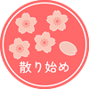 s-桜開花情報_散り始め.png