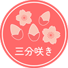 s-桜開花情報_三分咲.png