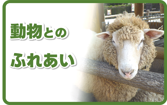 s-動物とのふれあい_202505.png